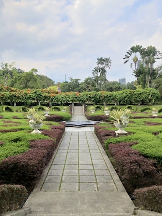 A beautifully landscaped garden features a neatly paved pathway lined with trimmed hedges and symmetrical plant arrangements in large decorative pots. In the background, tall palm trees and vibrant greenery create a lush, tropical atmosphere. The sky is partly cloudy, adding a serene element to the scene.