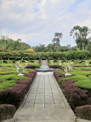 A beautifully landscaped garden features a neatly paved pathway lined with trimmed hedges and symmetrical plant arrangements in large decorative pots. In the background, tall palm trees and vibrant greenery create a lush, tropical atmosphere. The sky is partly cloudy, adding a serene element to the scene.