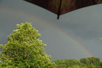 A golden umbrella shielding a vibrant, fresh green landscape symbolizing protection and growth.