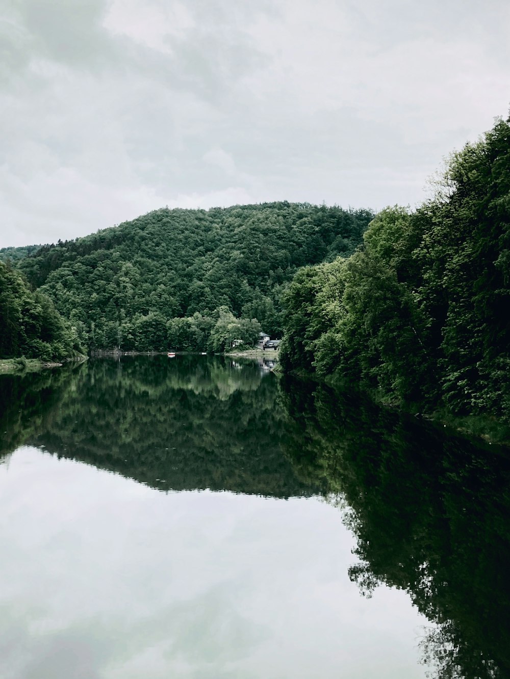 green trees beside river under white sky during daytime