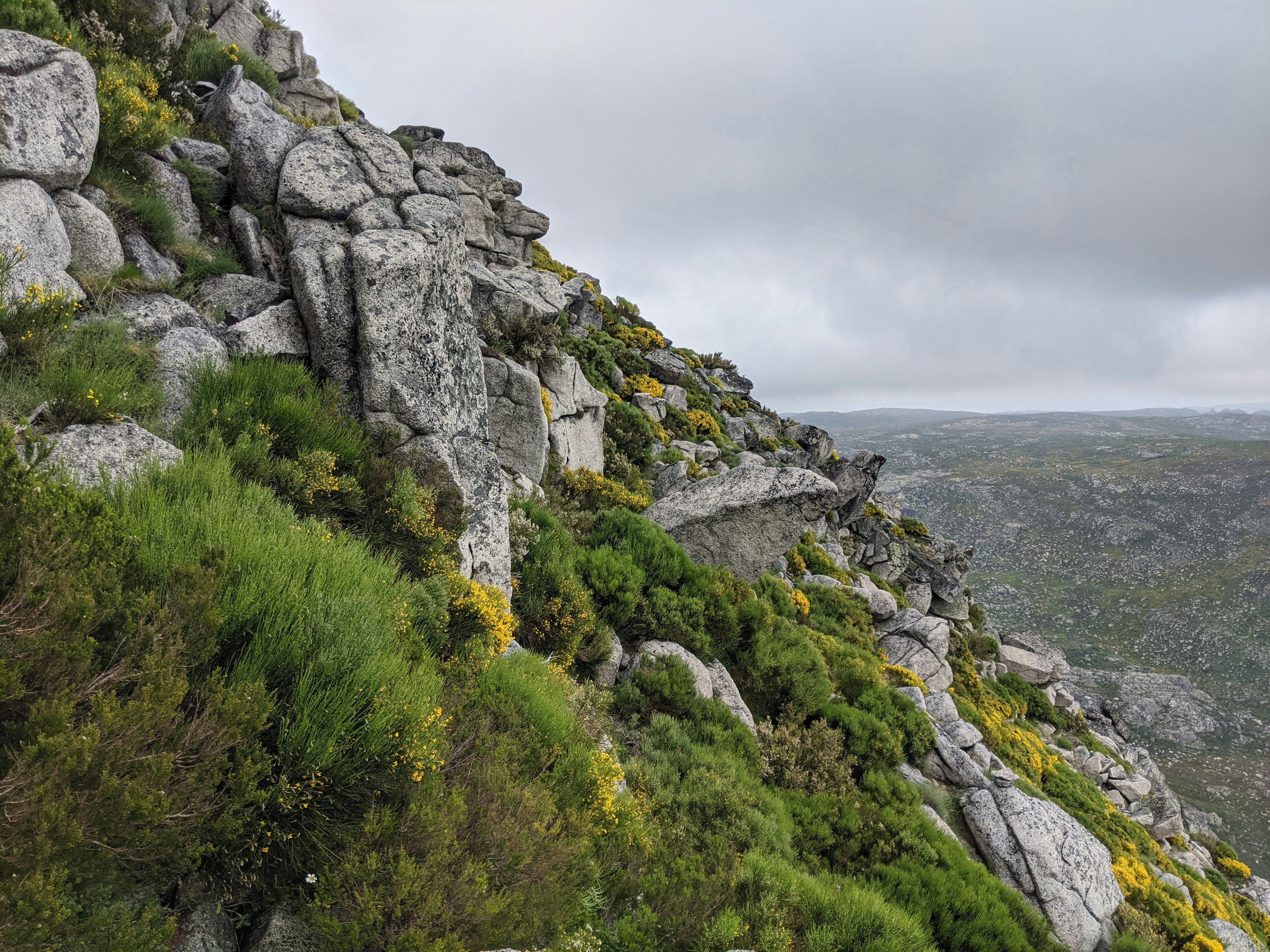 Photo by speeddragon35