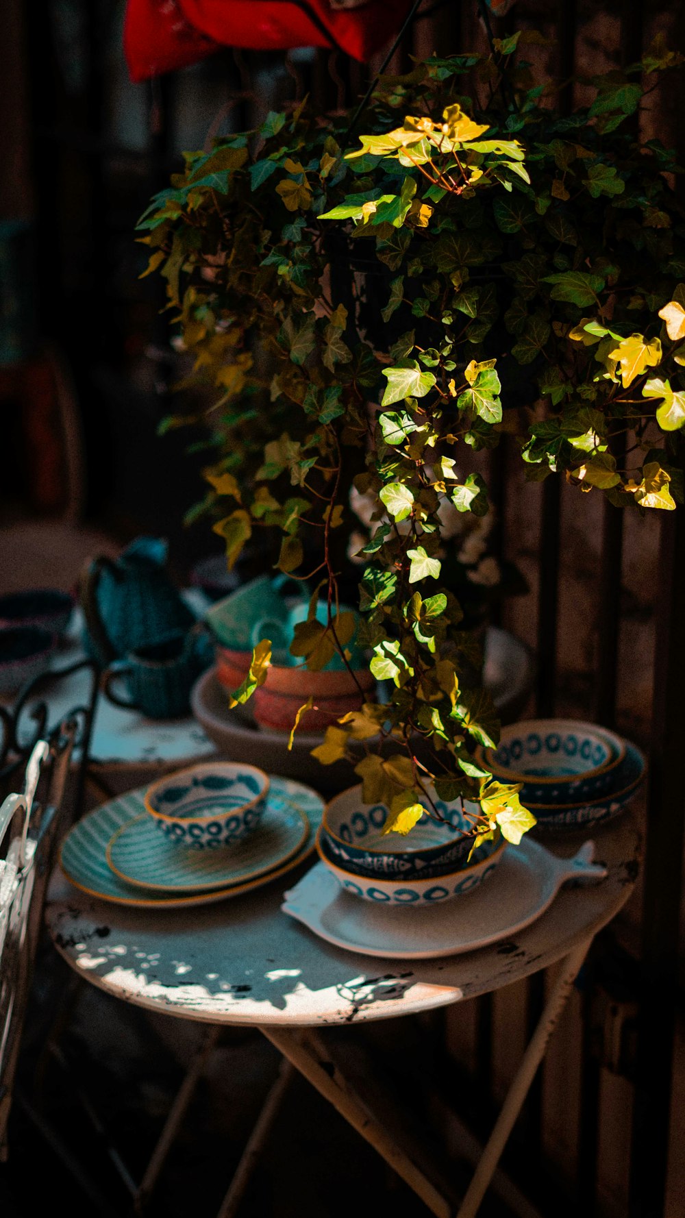 green plant on blue ceramic saucer