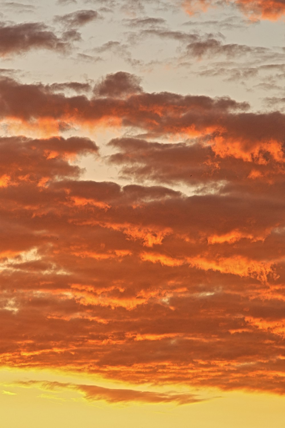 orange and blue cloudy sky during daytime