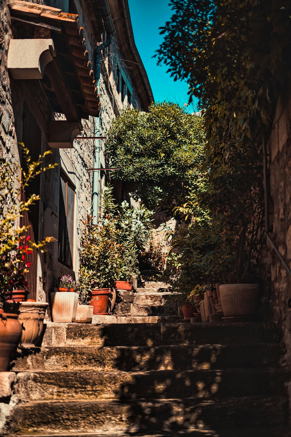 green plants on brown clay pots