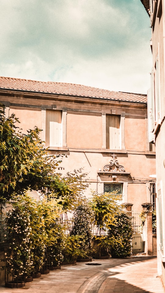 photo of Saint-Rémy-de-Provence Town near Jardin De La Fontaine