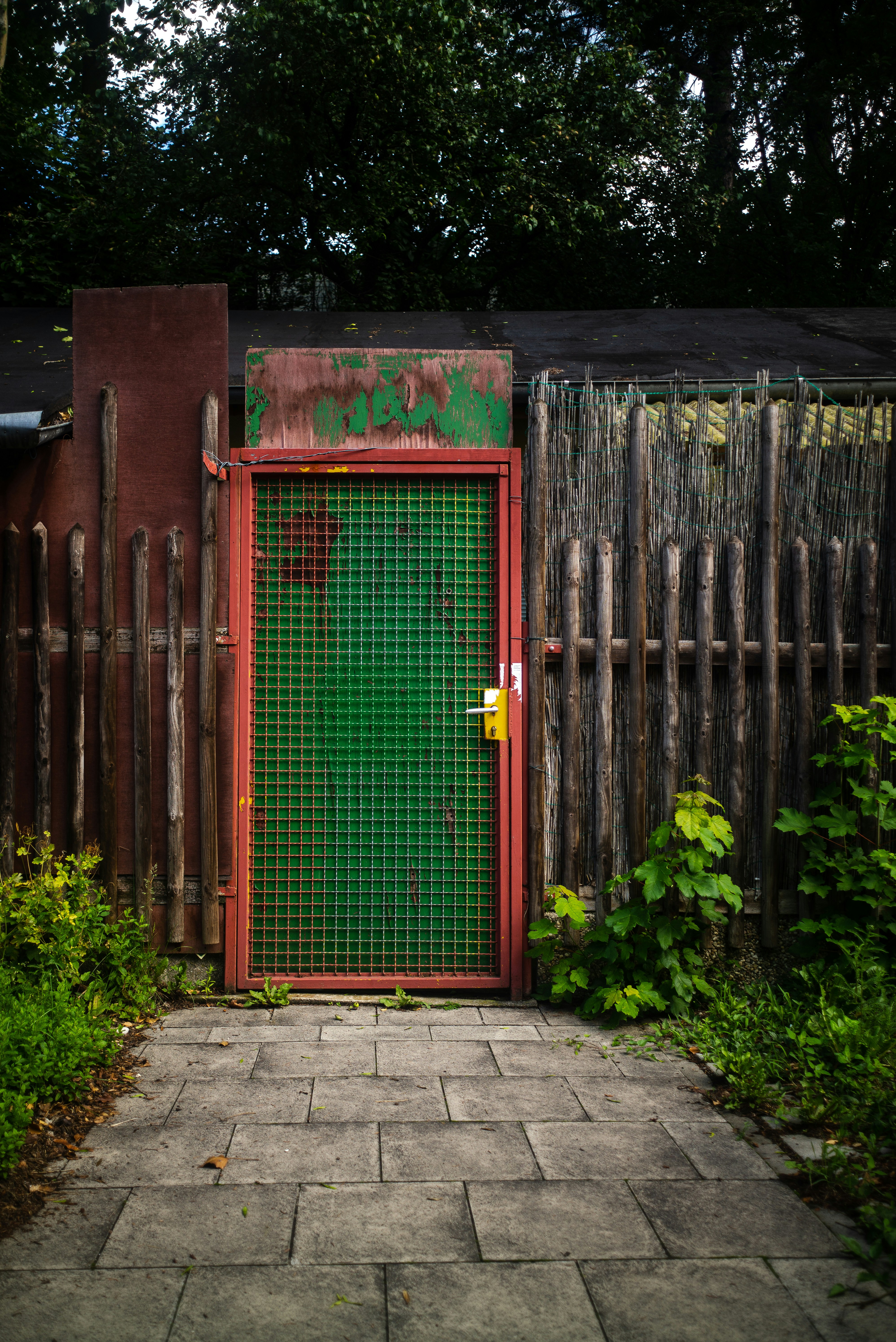 green wooden door near green plants during daytime
