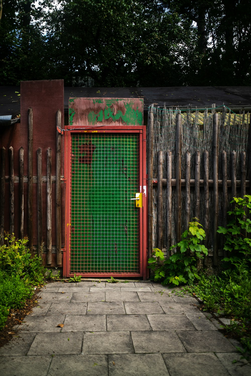 porta de madeira verde perto de plantas verdes durante o dia