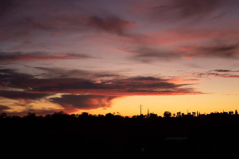 silhouette of trees during sunset