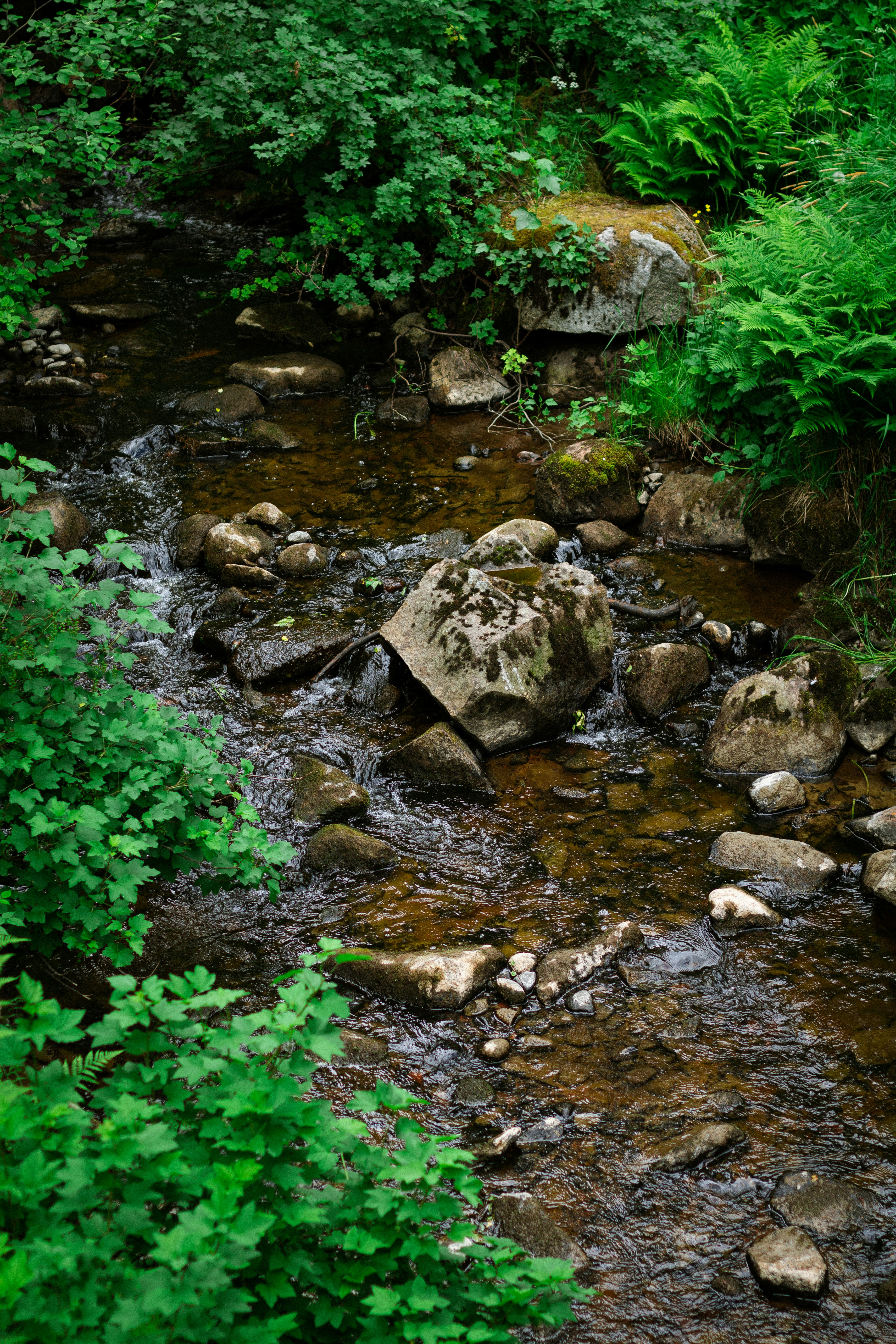 gray rocks on river during daytime