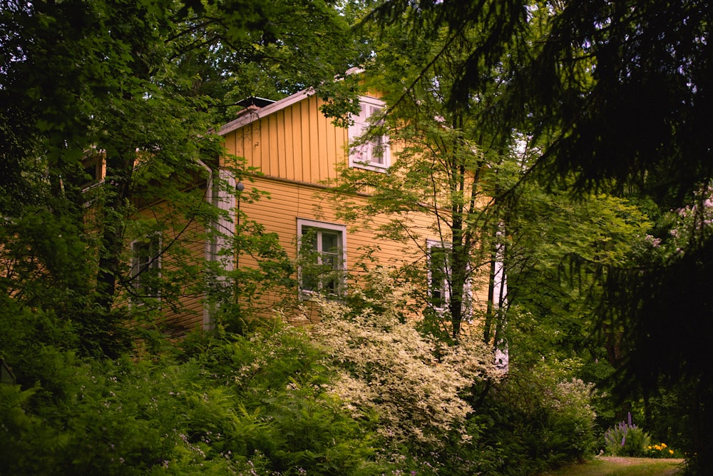 brown wooden house in the middle of forest during daytime