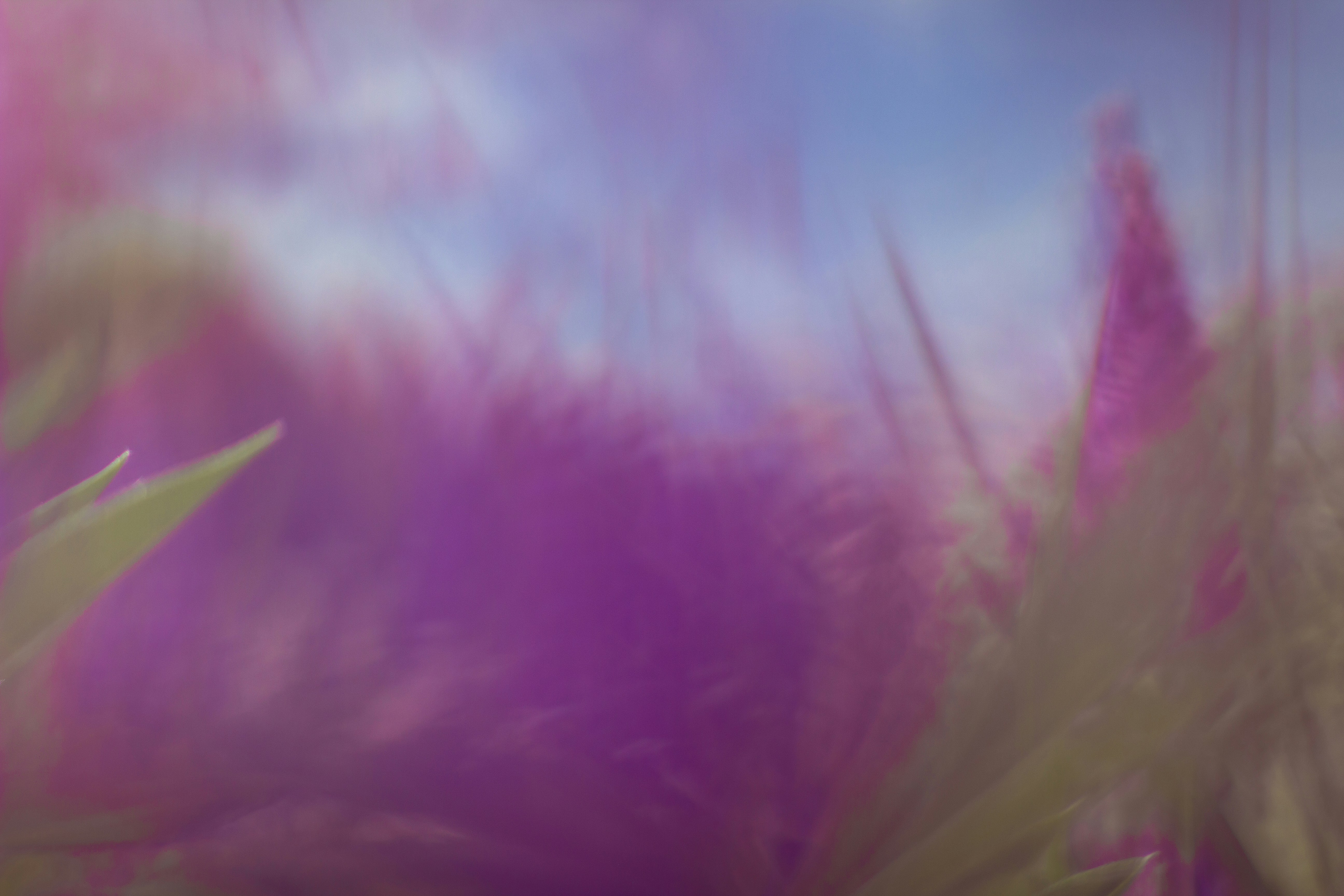 Pink and white abstract painting photo Free Purple Image on Unsplash