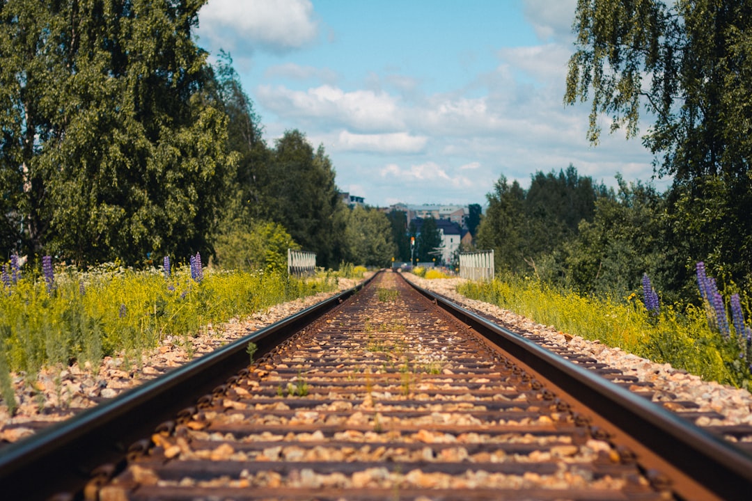 brown train rail near green trees under white clouds and blue sky during daytime