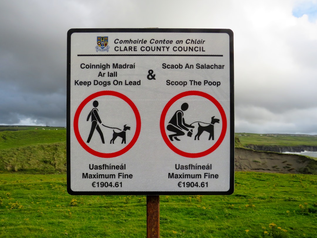 photo of Doolin Nature reserve near Cliffs of Moher