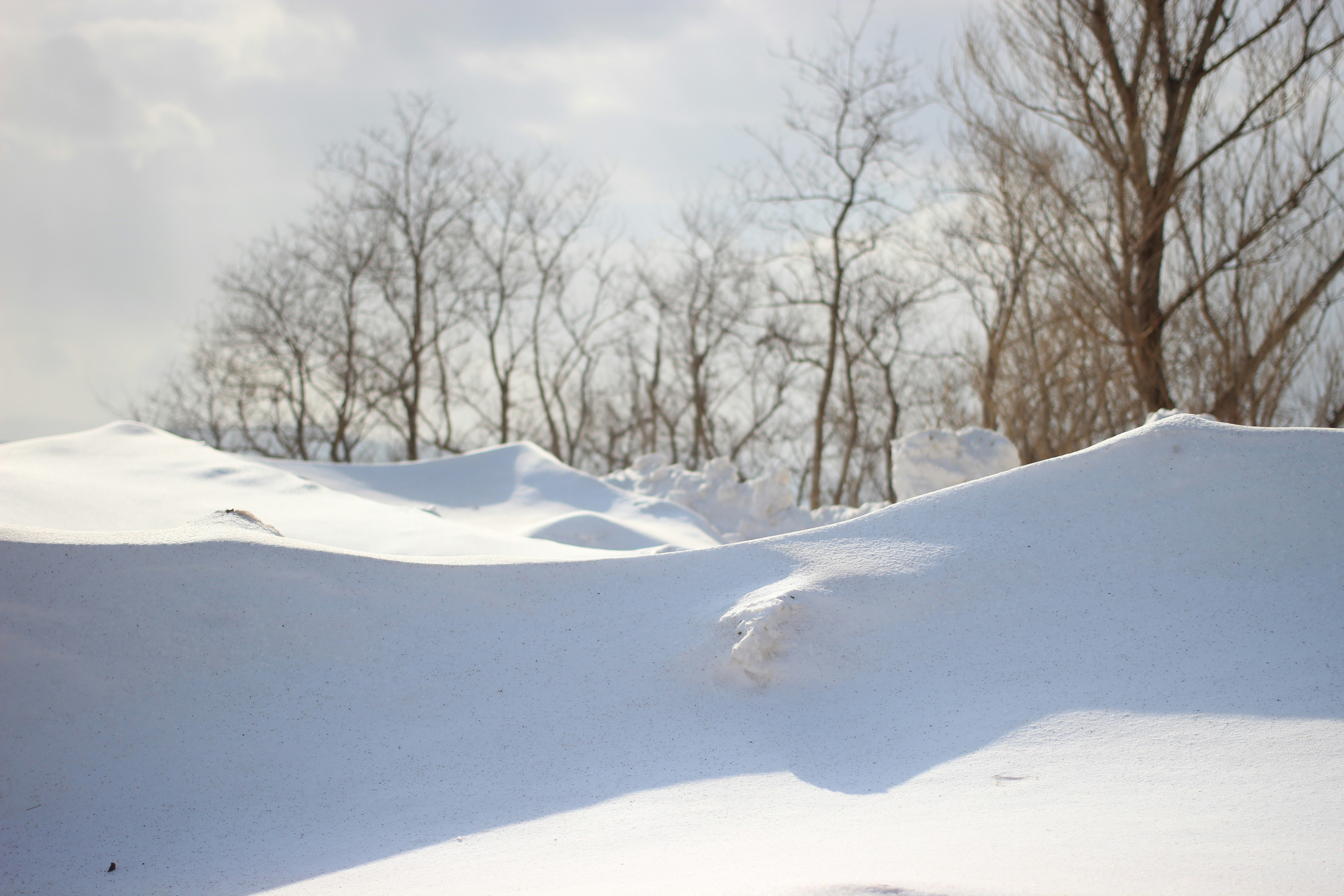 Photo by huangzujian3