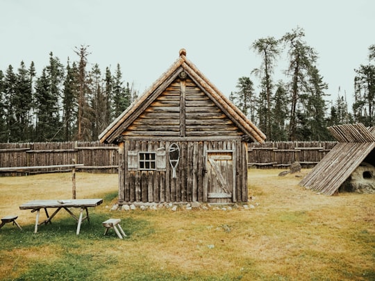 brown wooden house near green trees during daytime in Zoo Sauvage de Saint-Felicien Canada