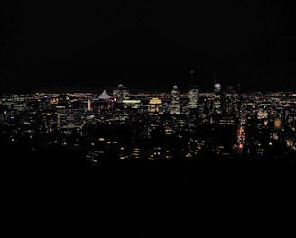 city with high rise buildings during night time