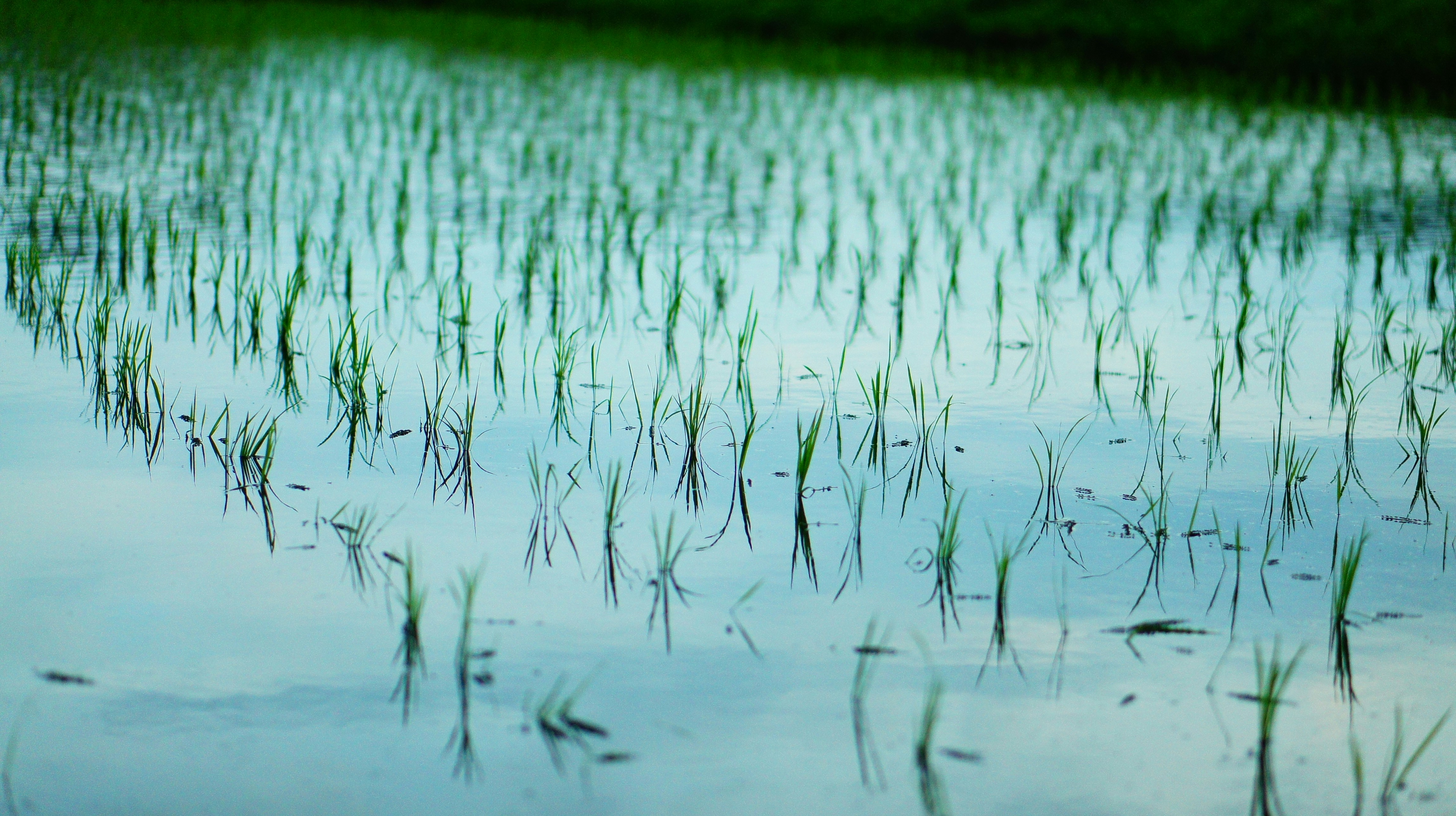 Photo by kiyomishiomura