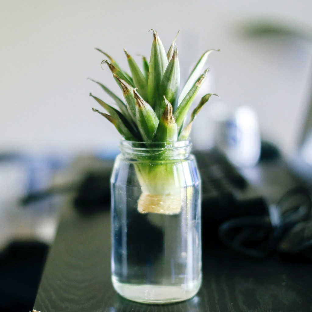 Piña en Almíbar