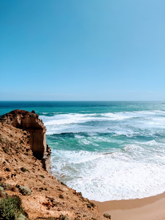 brown rock formation near sea during daytime in Twelve Apostles Marine National Park Australia