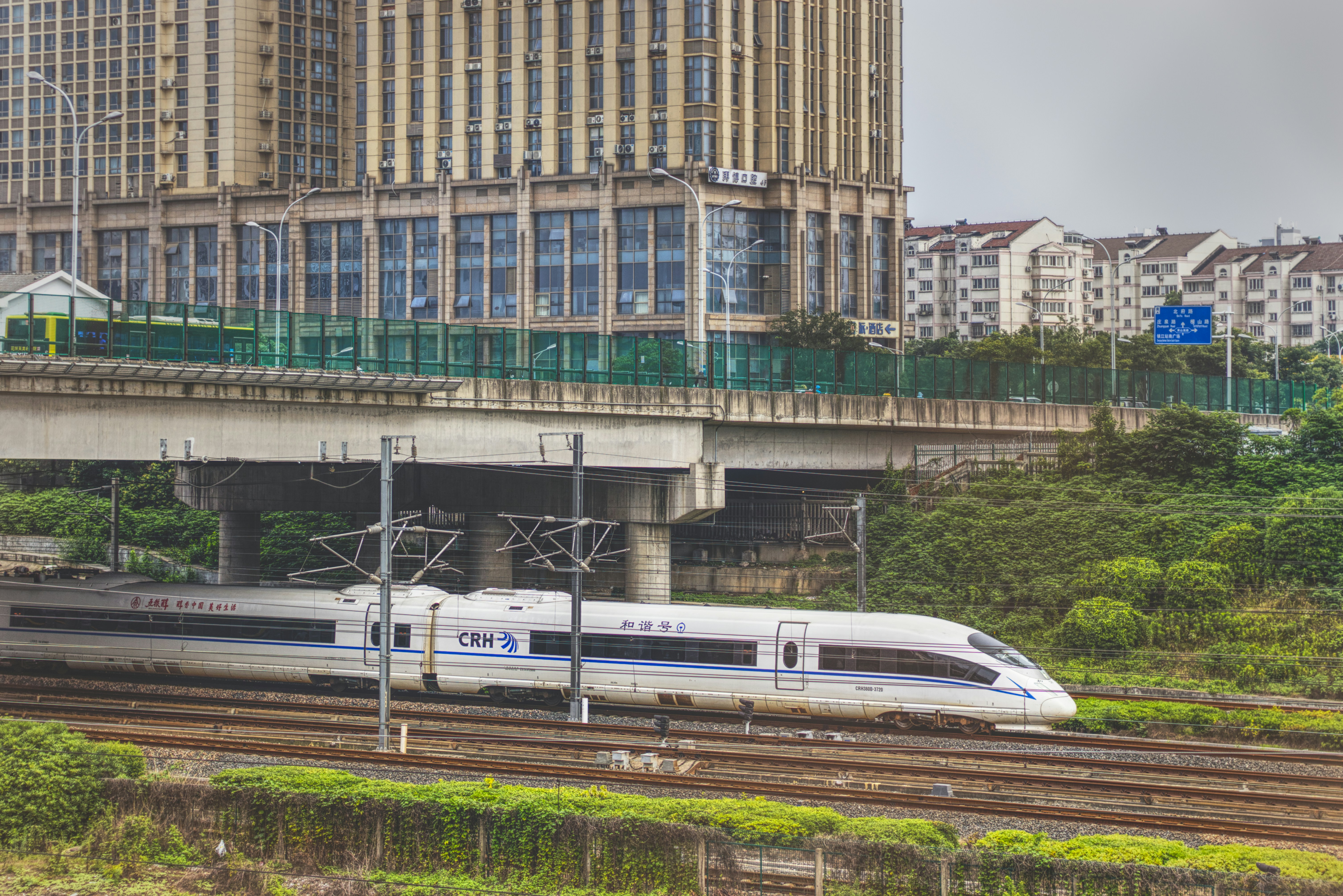 Photo by toyamakanna