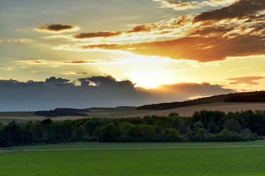 green grass field near green trees under cloudy sky during daytime in Paisy-Cosdon France