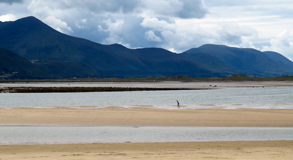 person walking on beach during daytime