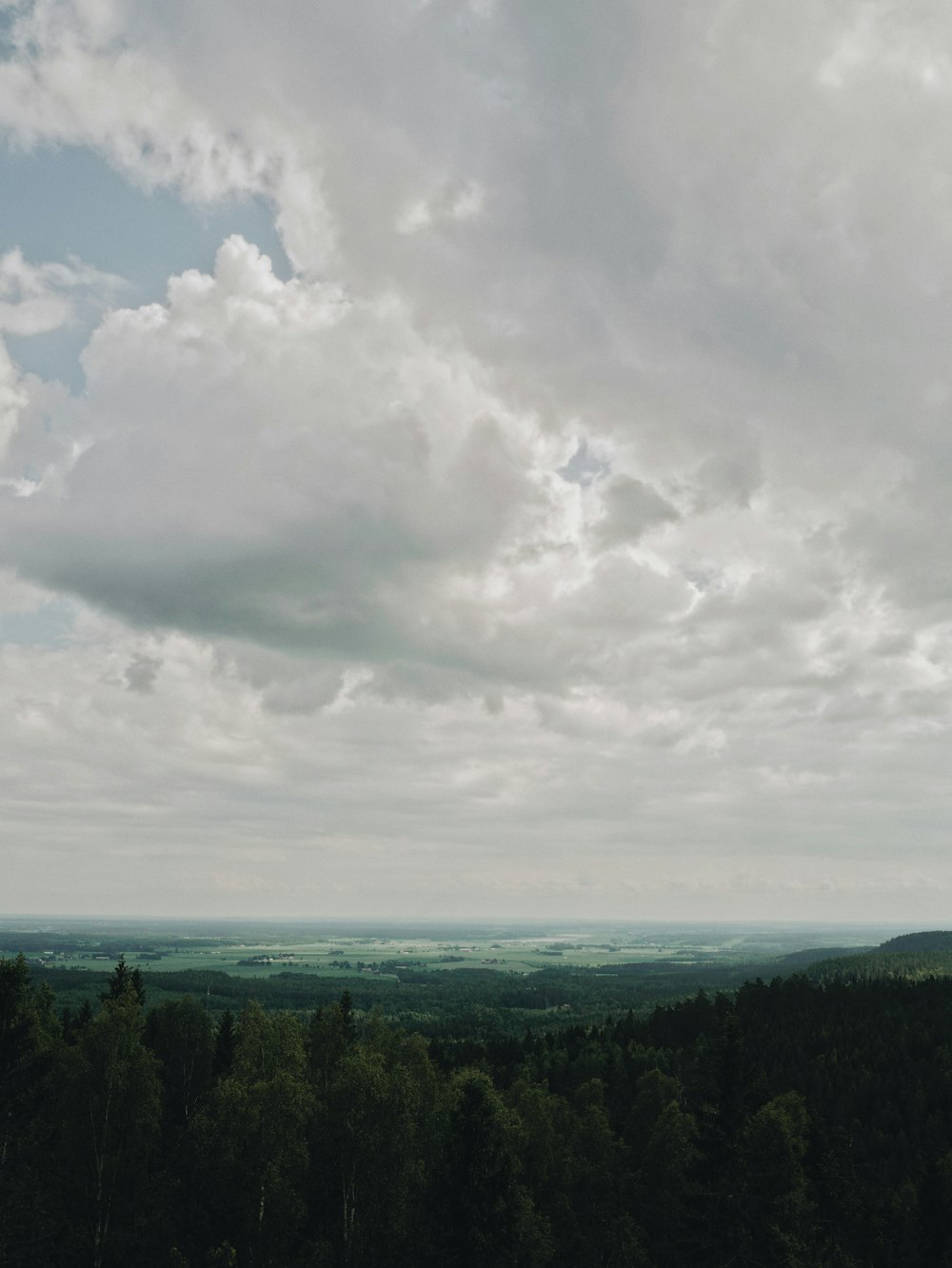 green trees under white clouds during daytime