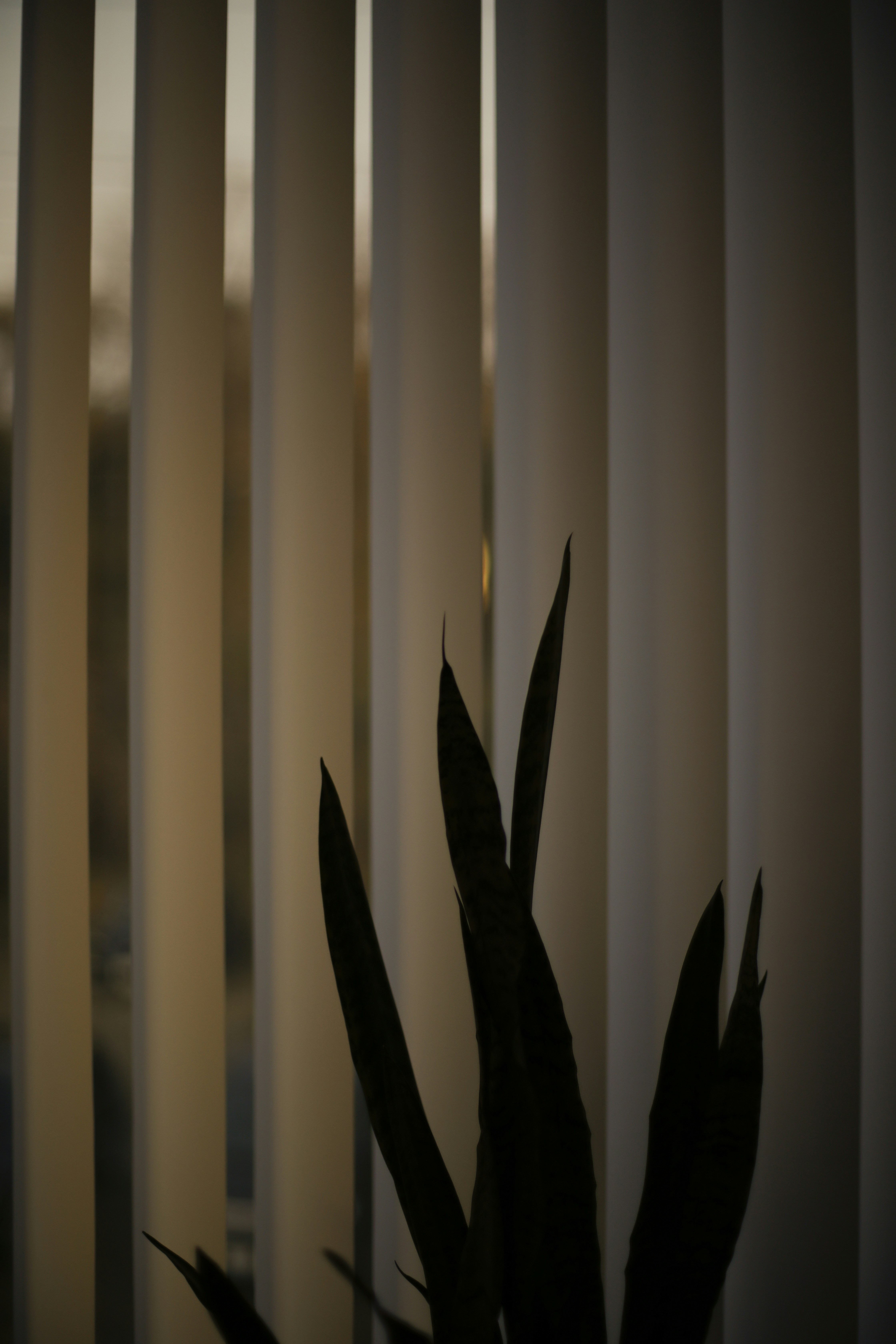 Persianas Sob Medida em Goiânia