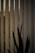 Vertical blinds partially open with soft light streaming through, casting shadows on a silhouetted plant with pointed leaves in the foreground.