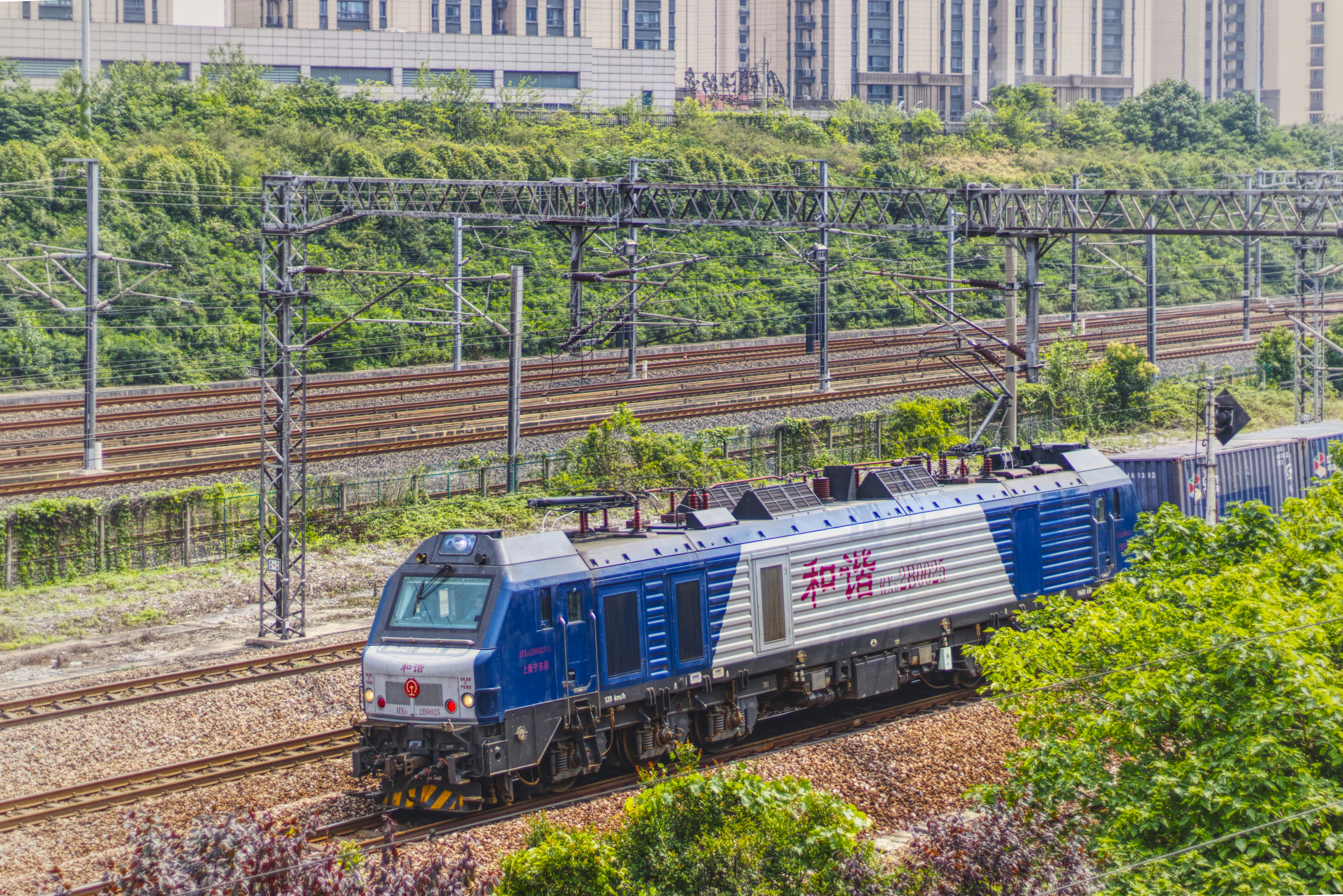 Photo by toyamakanna