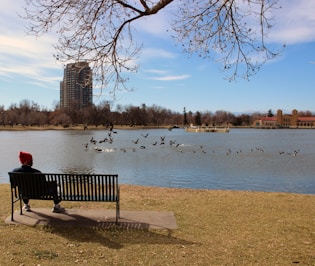 person in red hoodie sitting on bench near body of water during daytime