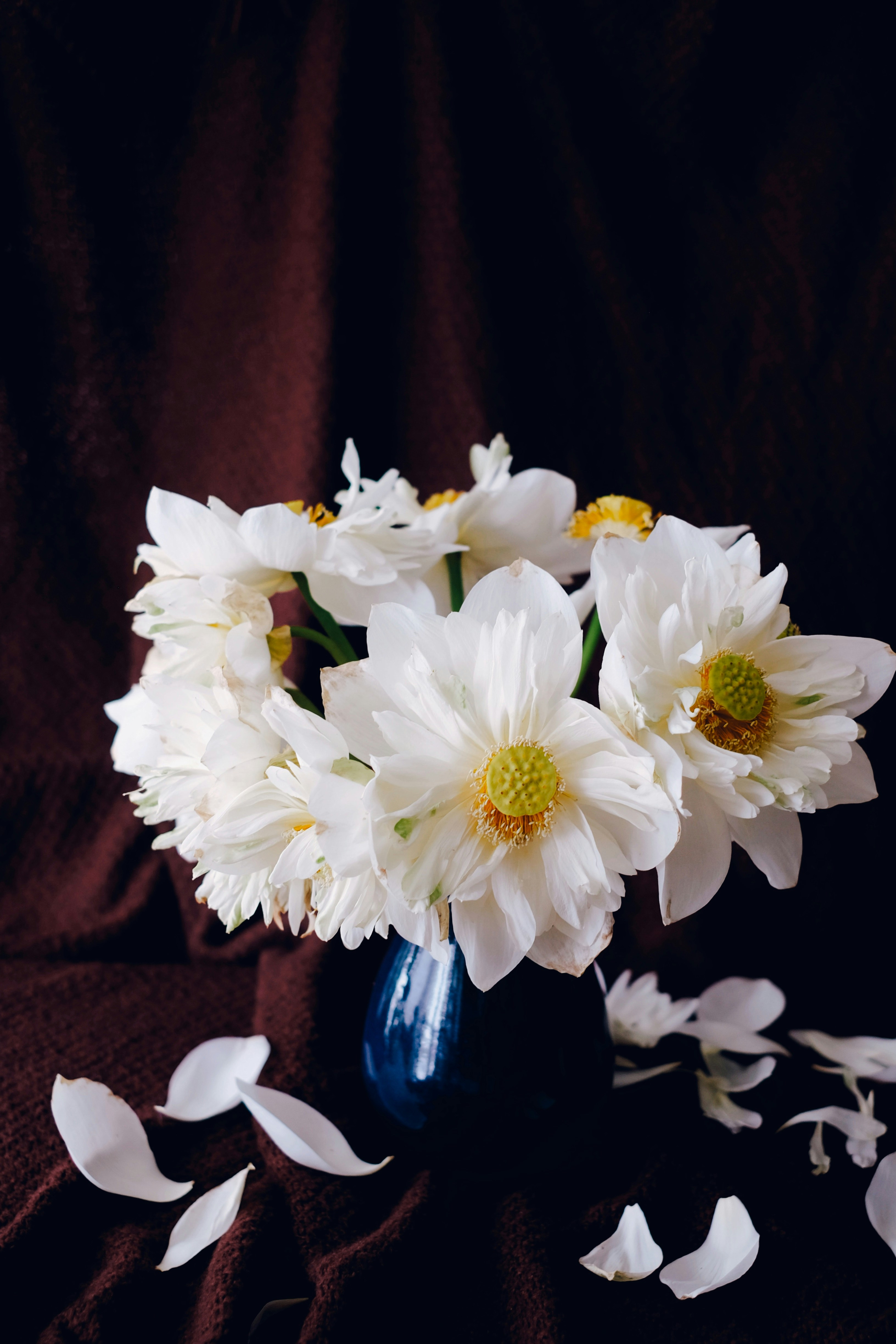 White flowers in blue glass vase photo Free White Image on Unsplash
