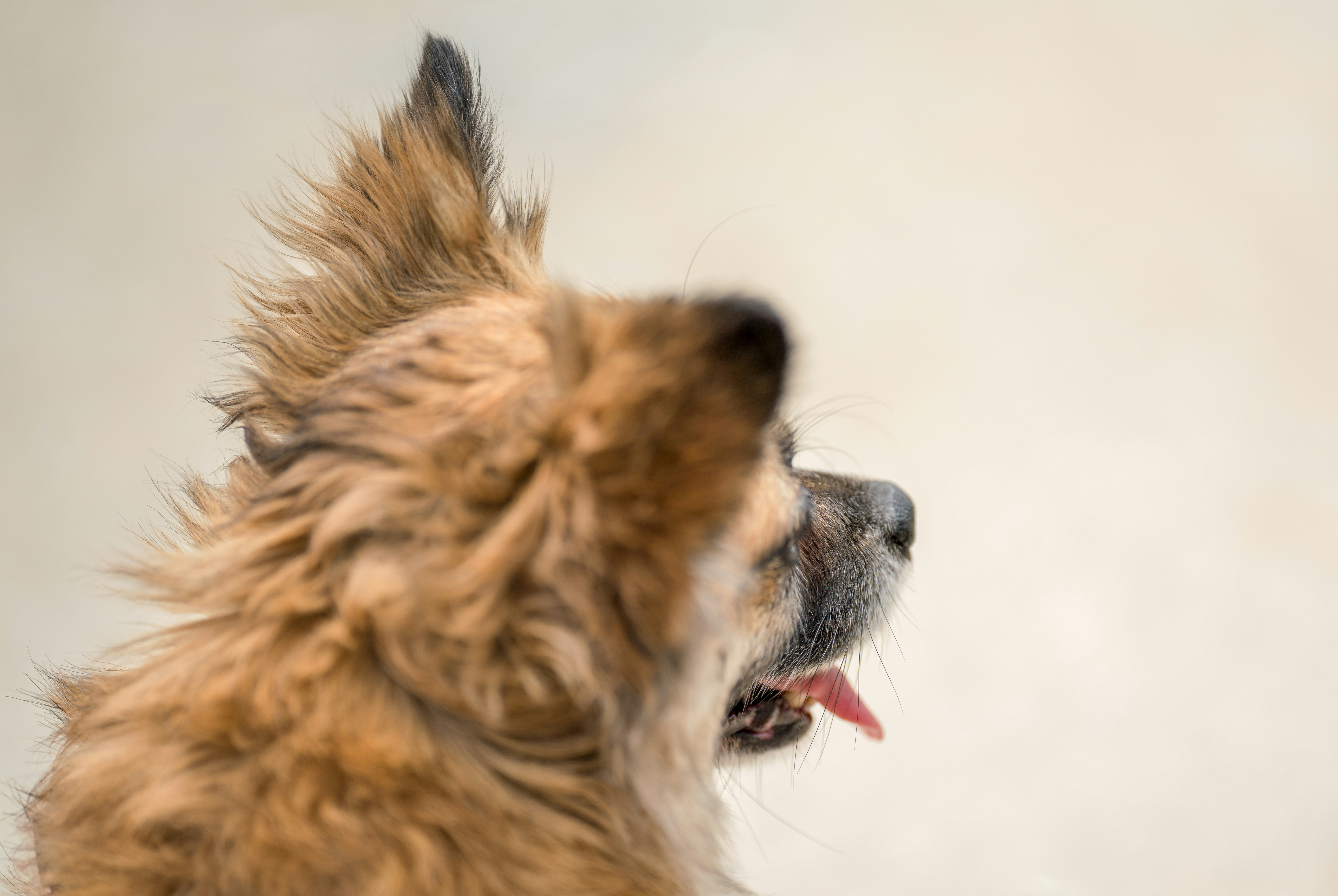 Photo by karographix