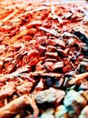 A close-up view of reddish-orange textured rocks scattered over a surface, with varying sizes and shapes. Some dry twigs or sticks are interspersed among the rocks, adding to the rugged and earthy appearance.