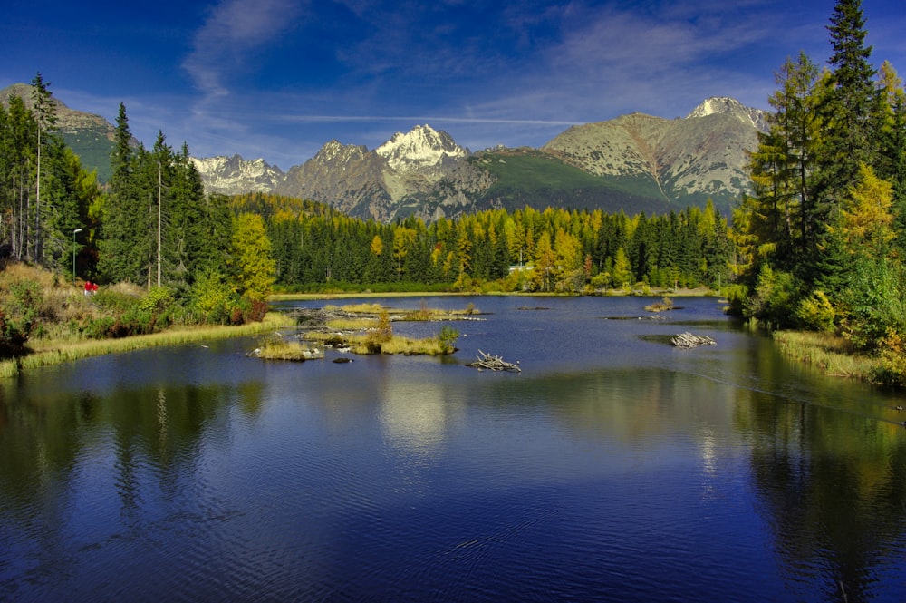 green trees near lake and mountain under blue sky during daytime