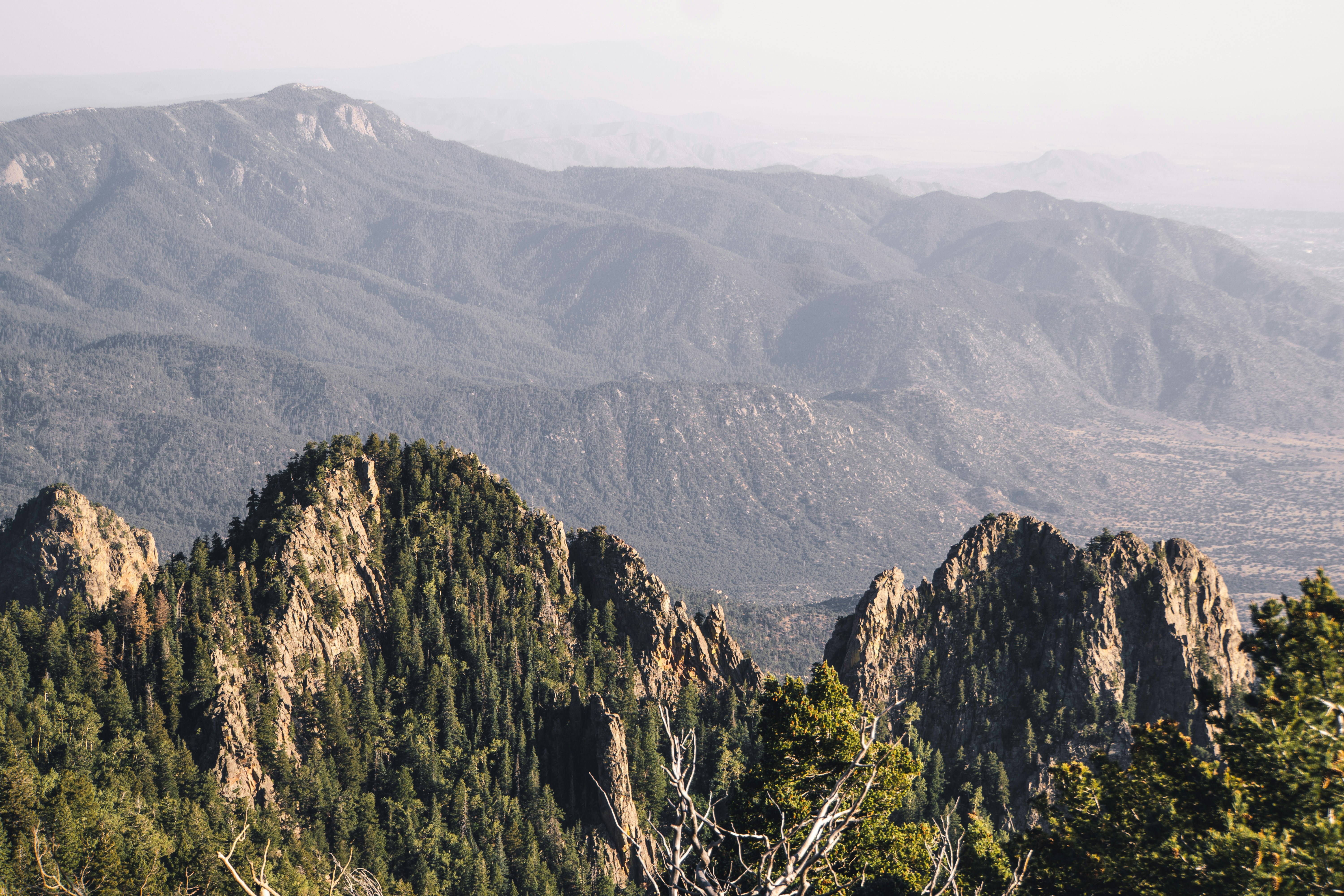 green trees on mountain during daytime