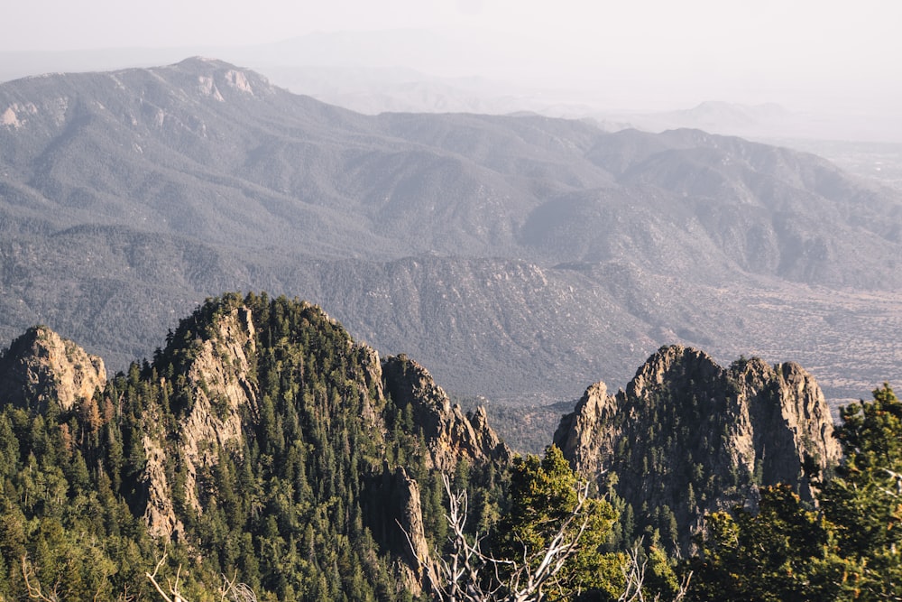 green trees on mountain during daytime