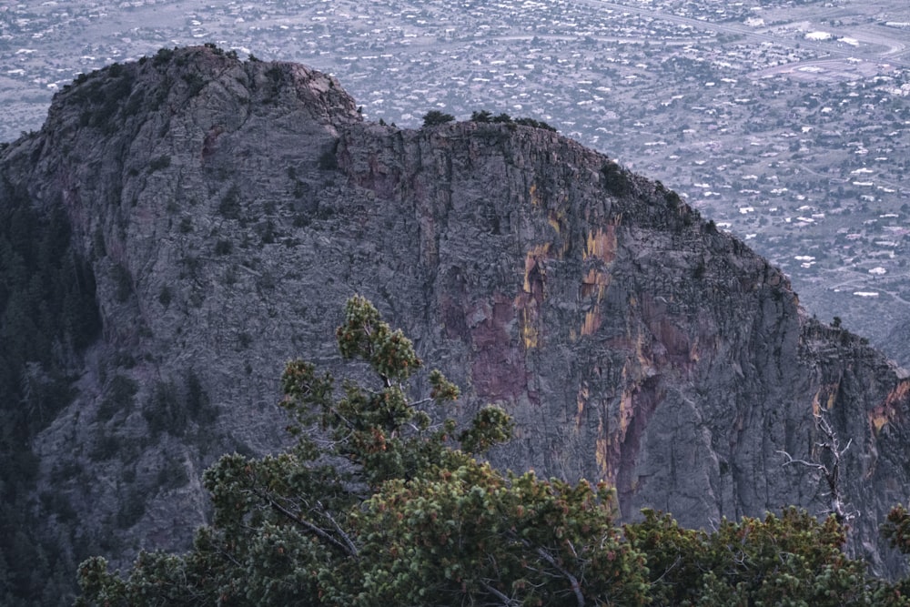 green trees on rocky mountain beside sea during daytime