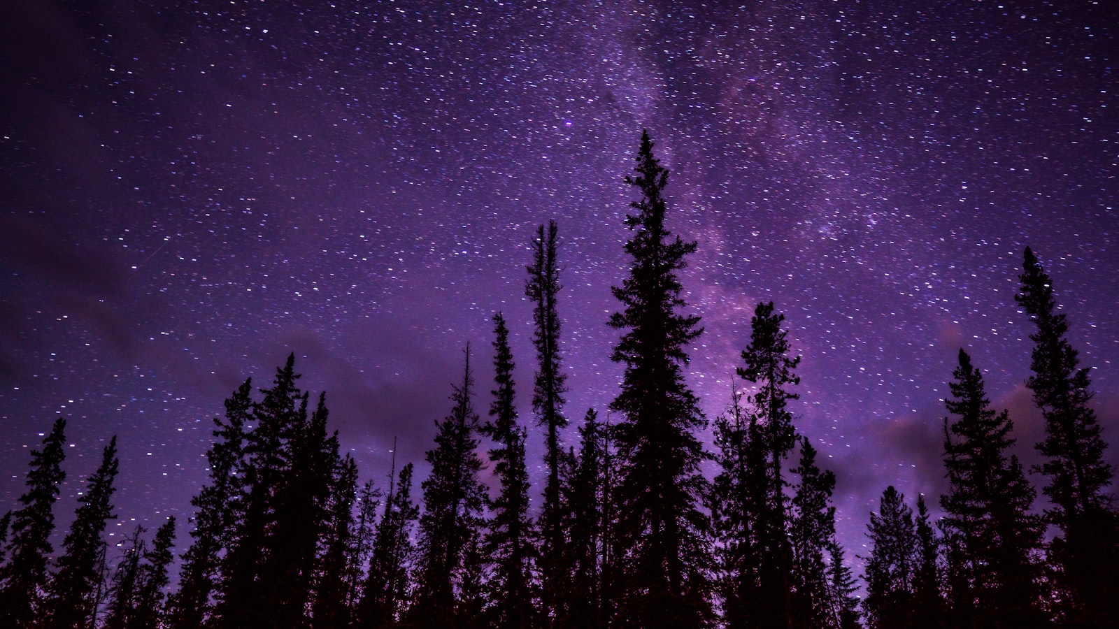 Preserving and Storing Cantaloupe Seeds: Guidelines for Long-Term Viability