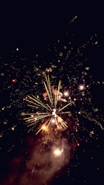 Bright fireworks illuminate the night sky with vibrant bursts of light and smoke. Streaks of gold and white radiate outward while small sparkles create a dazzling display.