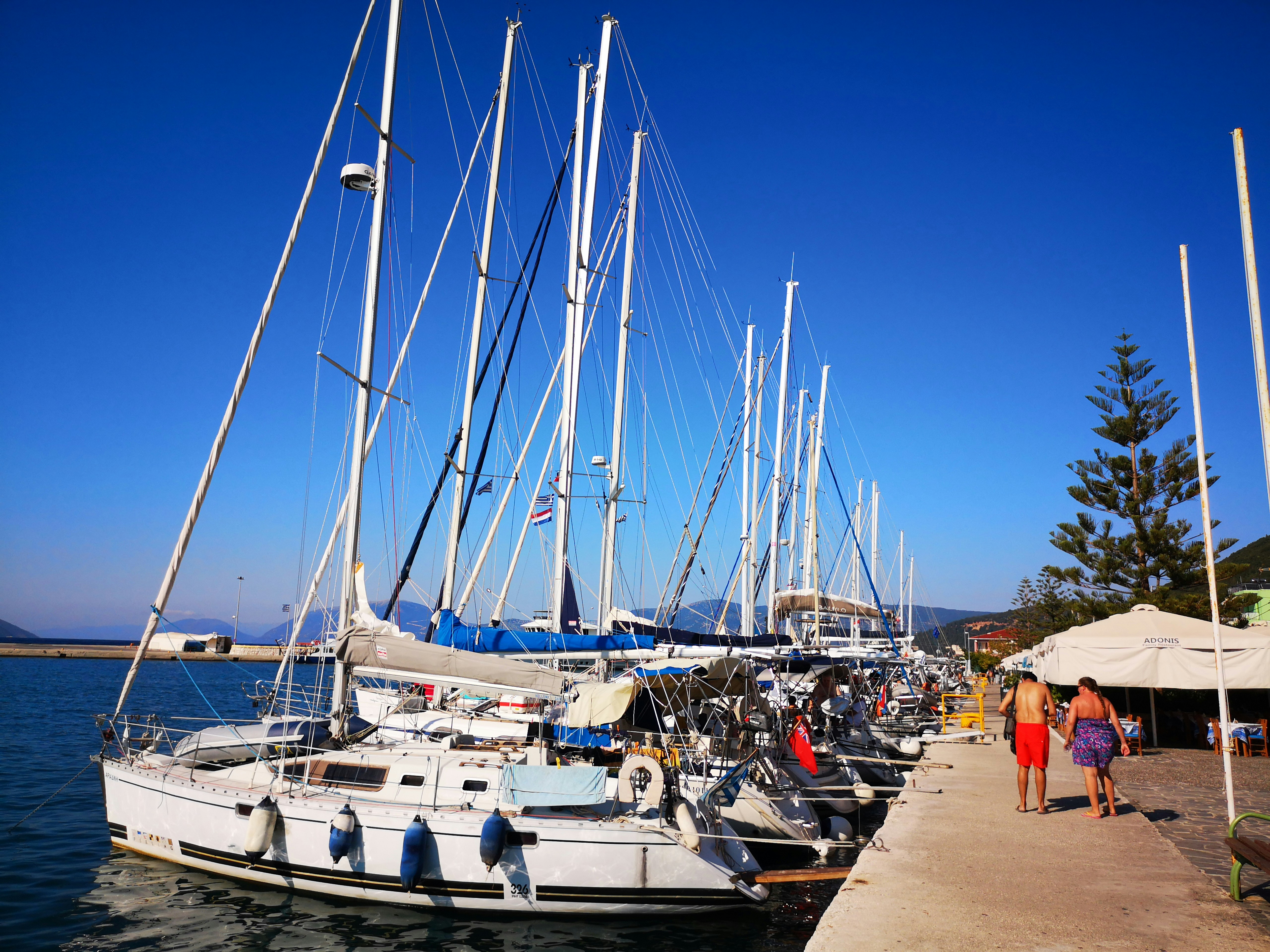 Photo by knuckles_echidna