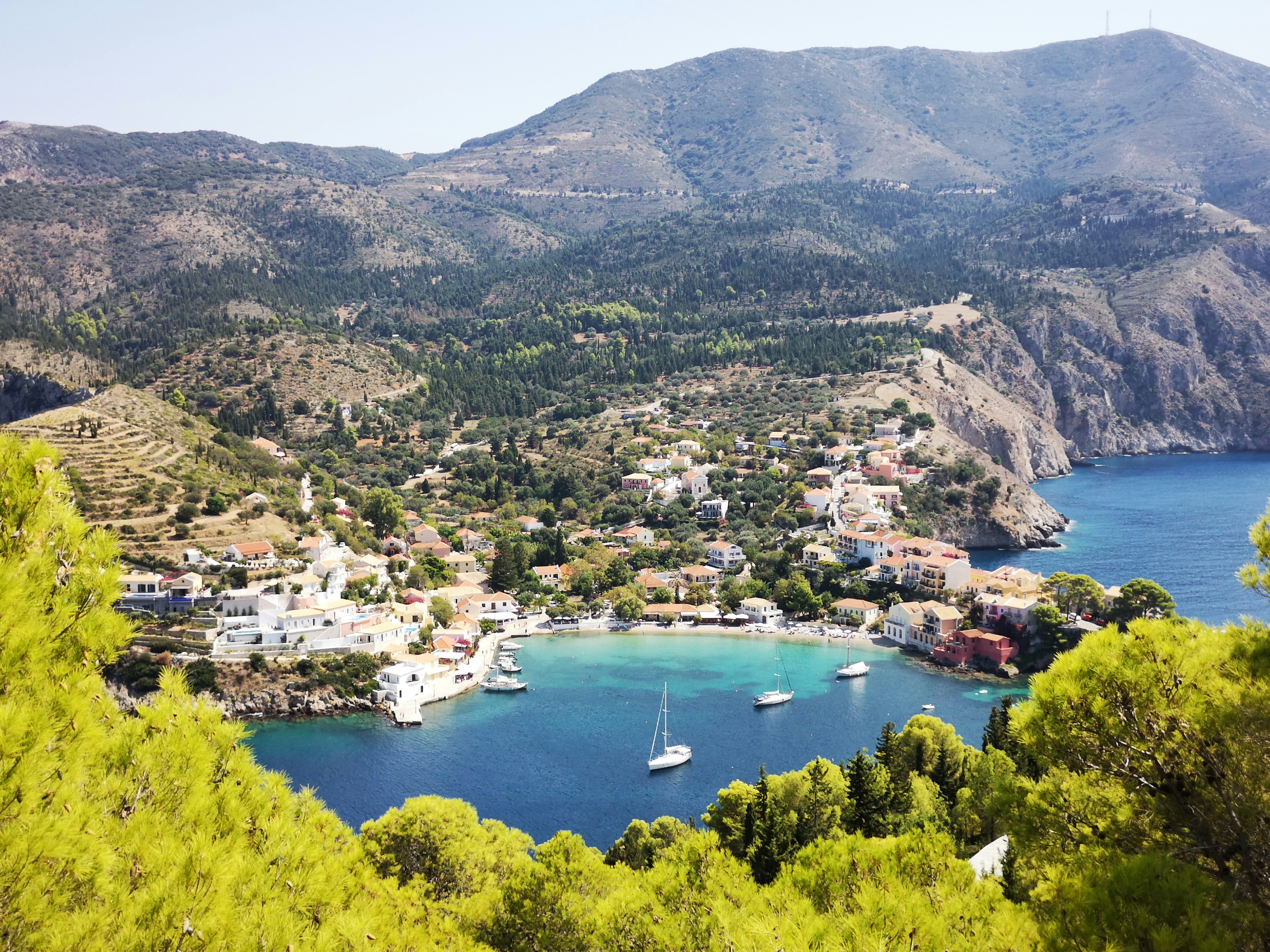 Photo by knuckles_echidna