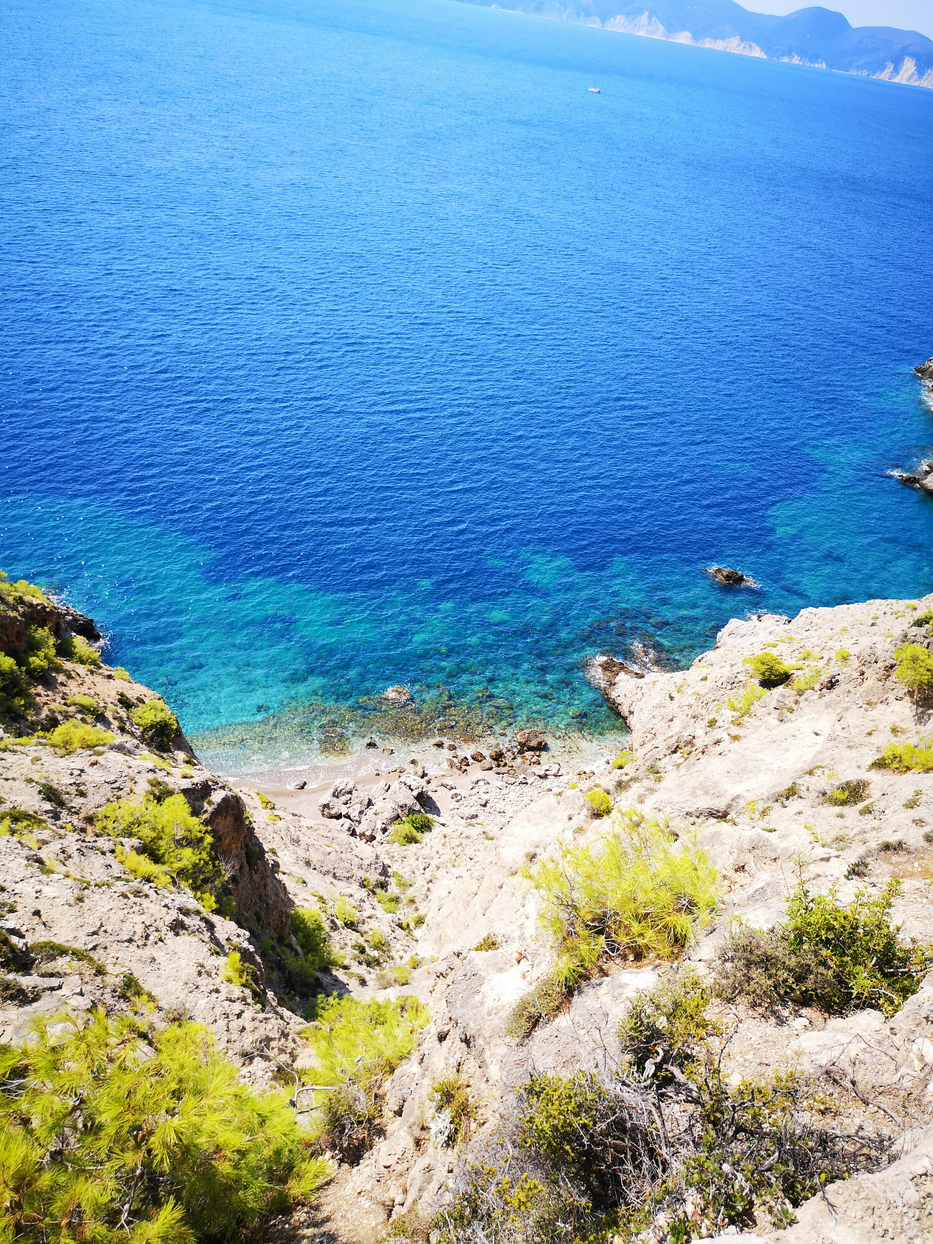 Photo by knuckles_echidna