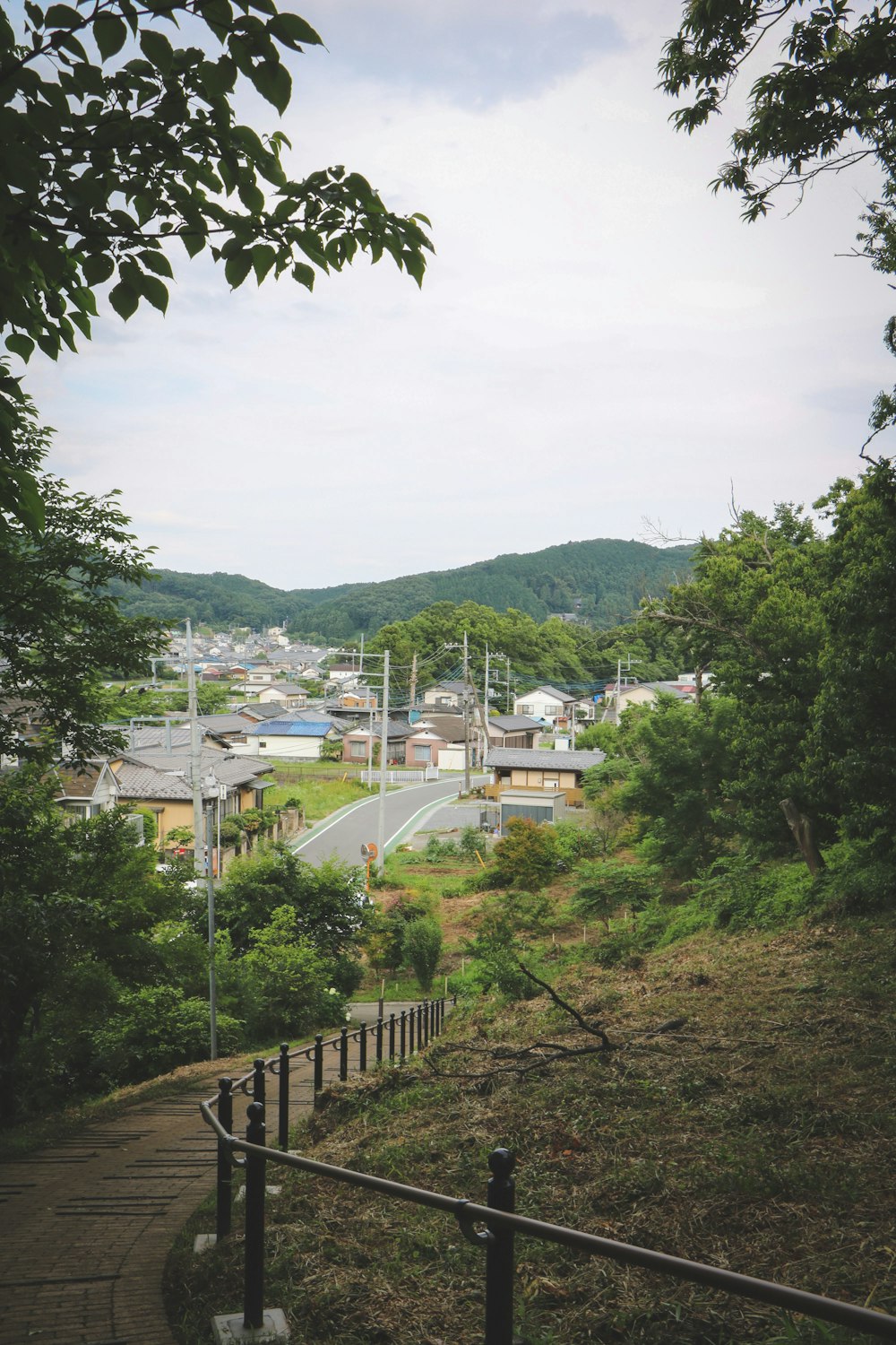 昼間の緑の木々と白い建物