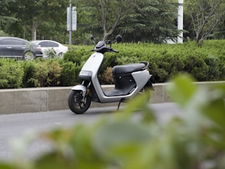 A modern electric scooter is parked on the side of a road surrounded by greenery, including bushes and trees. In the background, cars are visible driving by on the main road.