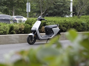 Eco-friendly electric scooter parked by an urban street with greenery in the background