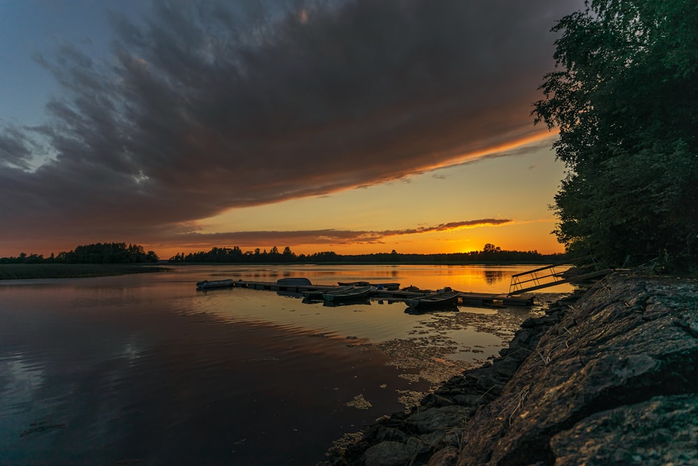 body of water near trees during sunset