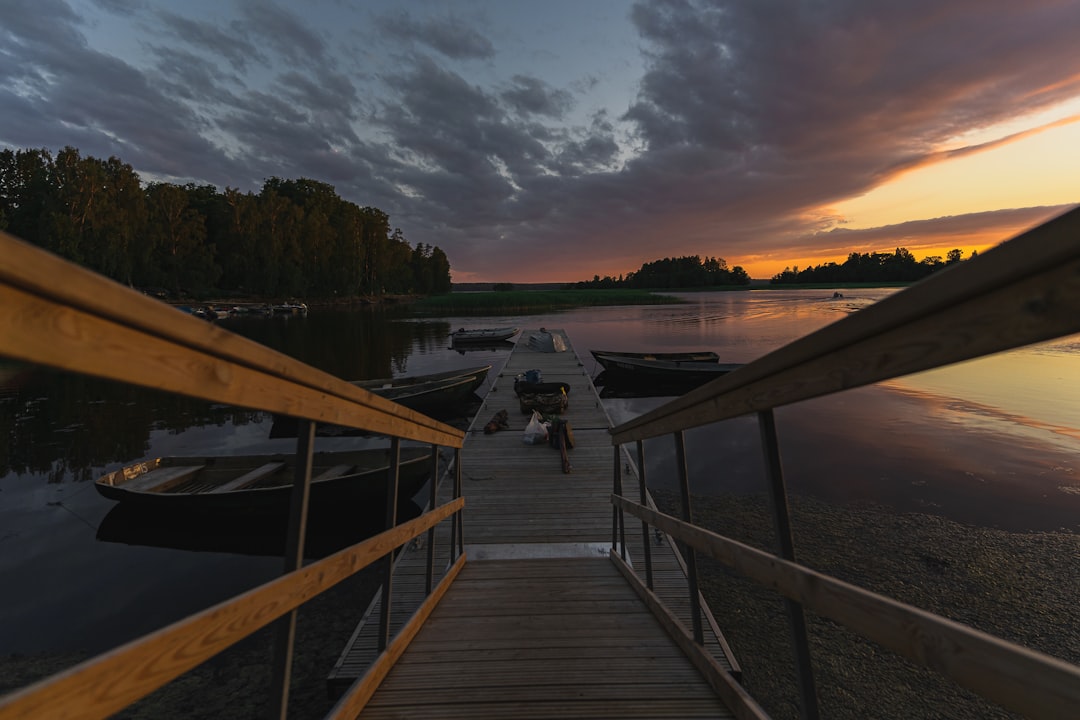 brown wooden dock on lake during daytime