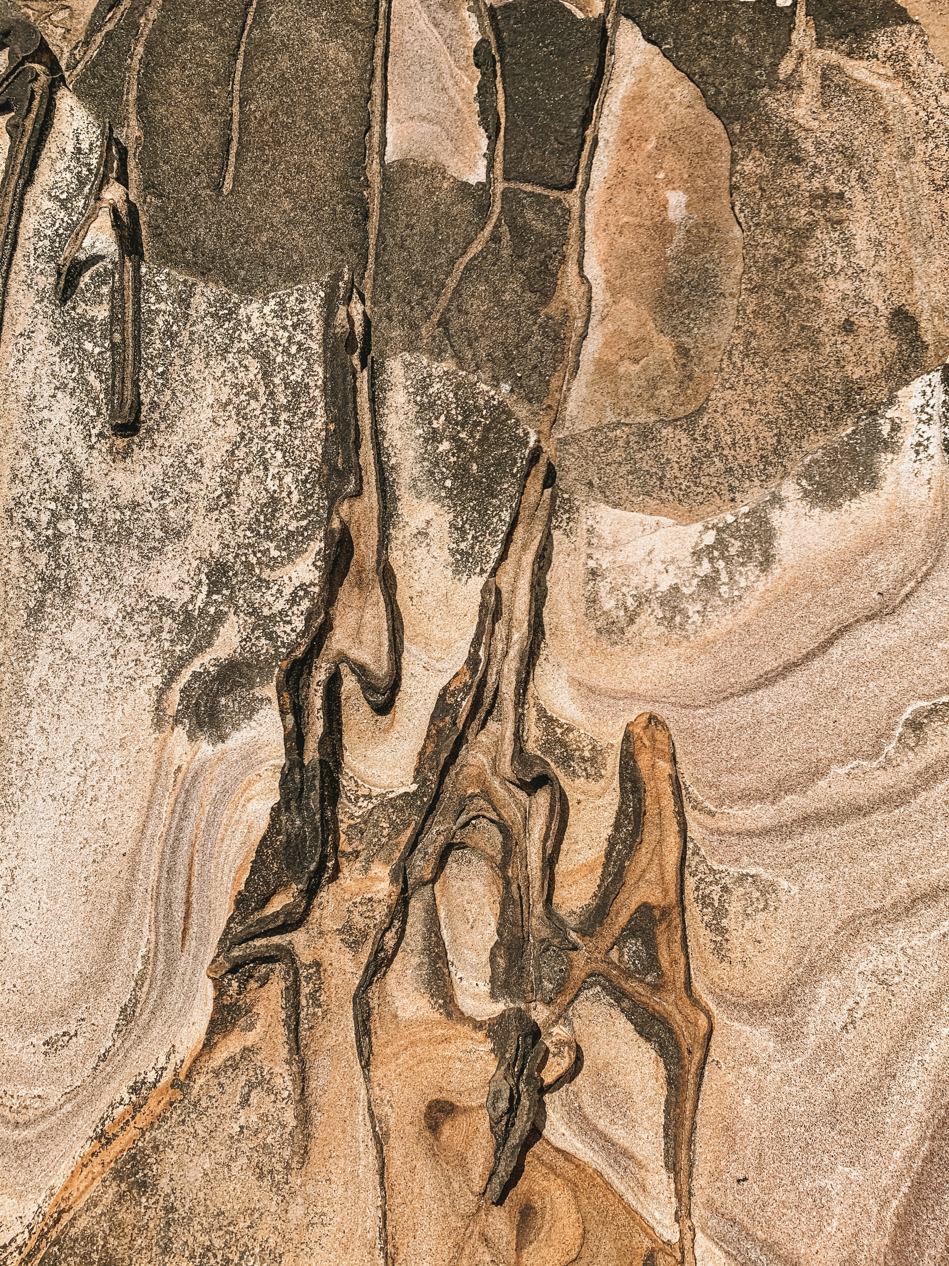 The Future of Fossil Formation (image credits: unsplash)
