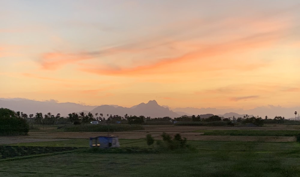 green grass field during sunset